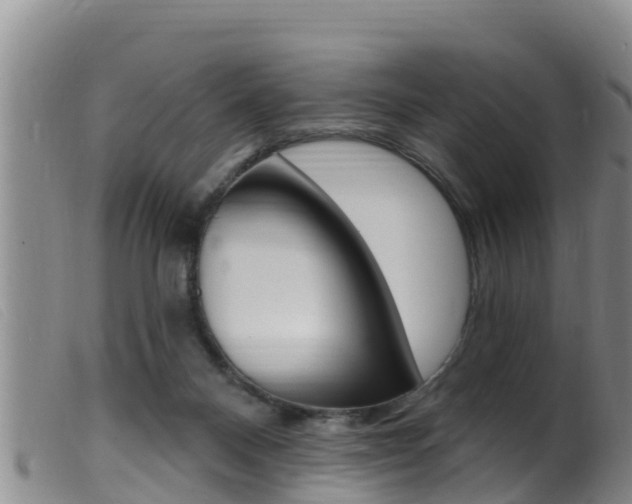 X0000099960120200805231036