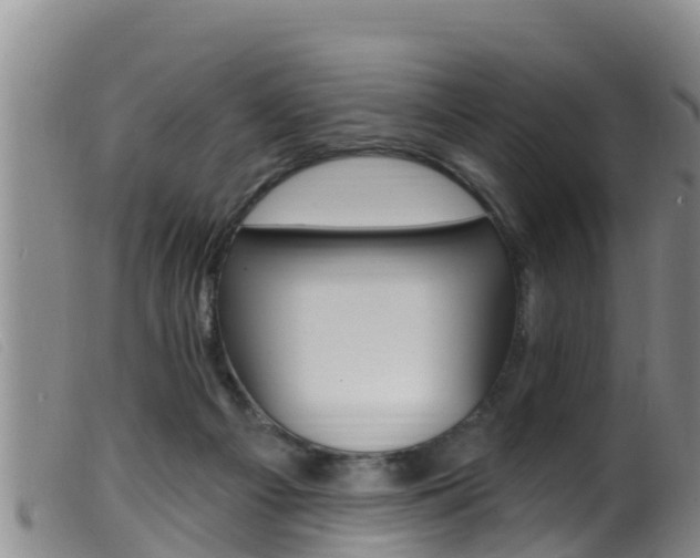 X0000099960121200805231036