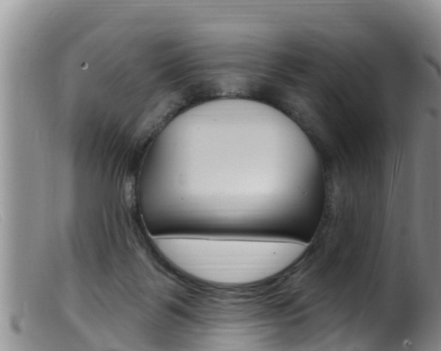 X0000099960123200805231036