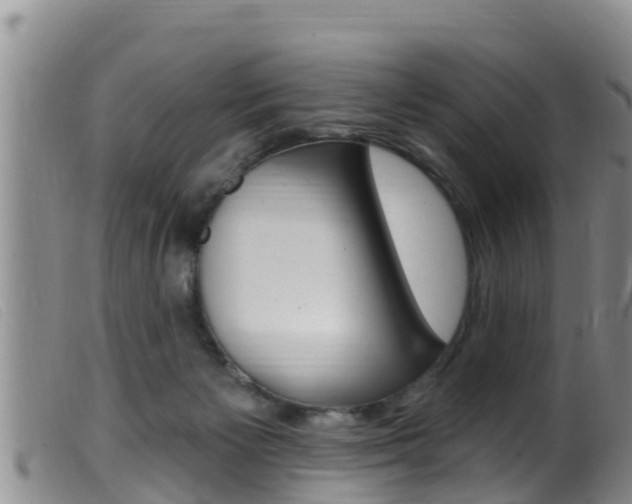 X0000099960125200805231036