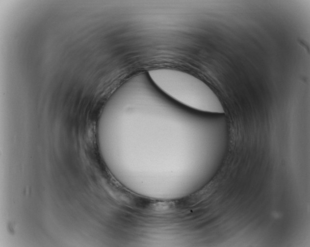 X0000099960126200805231036