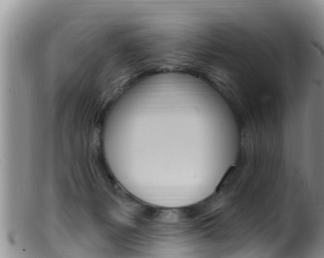 X0000099960127200805231036