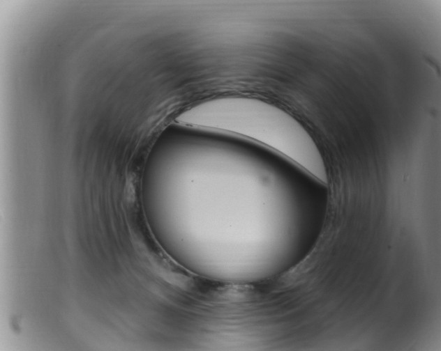 X0000099960128200805231036