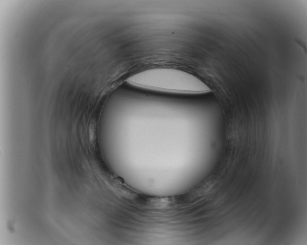 X0000099960131200805231036