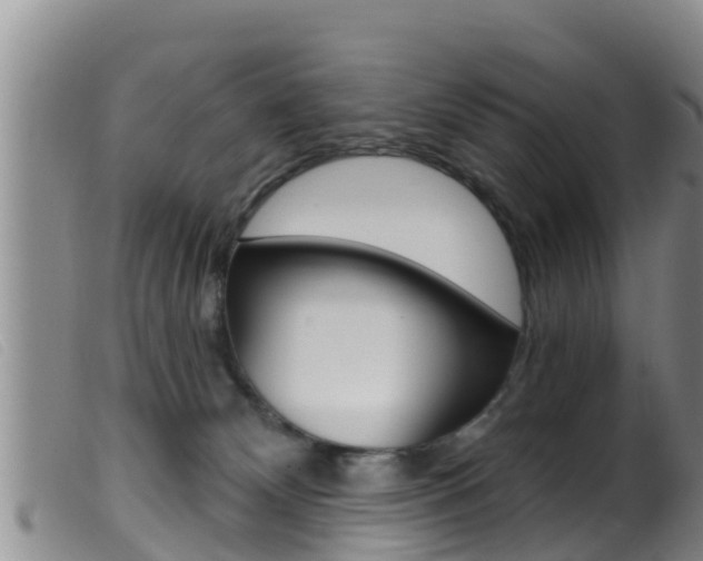 X0000099960132200805231036
