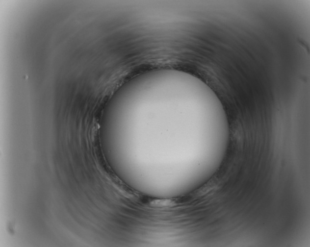 X0000099960133200805231036