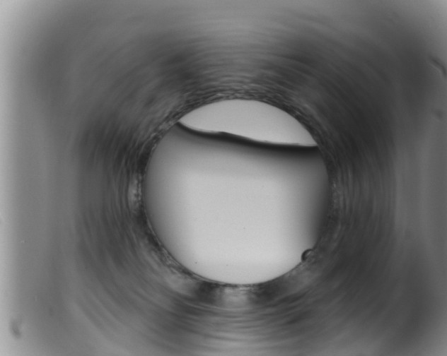X0000099960134200805231036