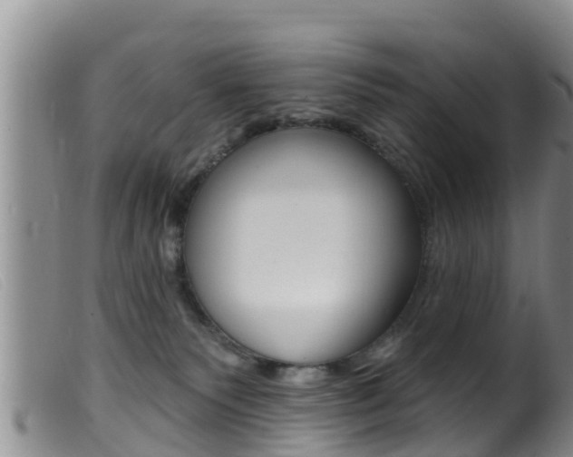 X0000099960135200805231036