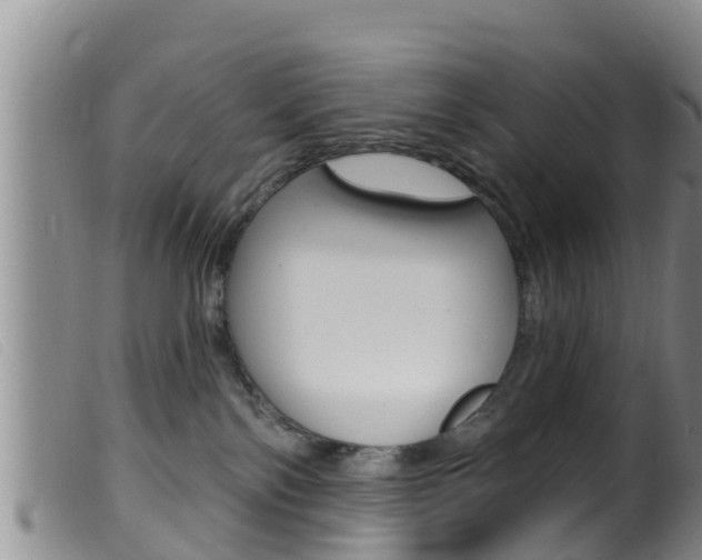 X0000099960138200805231036