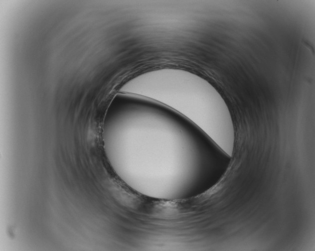 X0000099960140200805231036