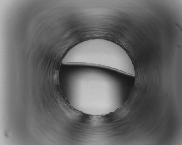 X0000099960141200805231036