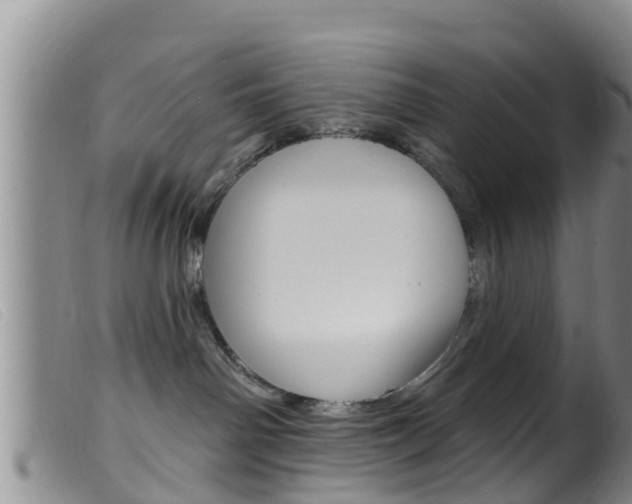 X0000099960142200805231036