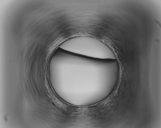 X0000099960145200805231035