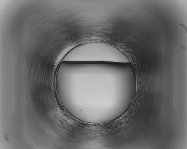 X0000099960147200805231035