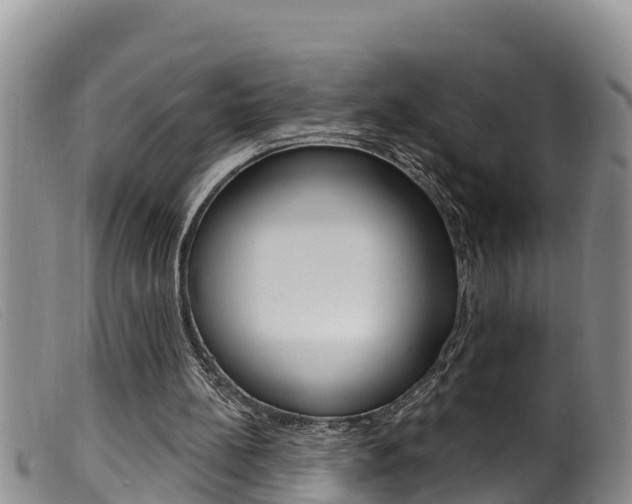 X0000099960148200805231035