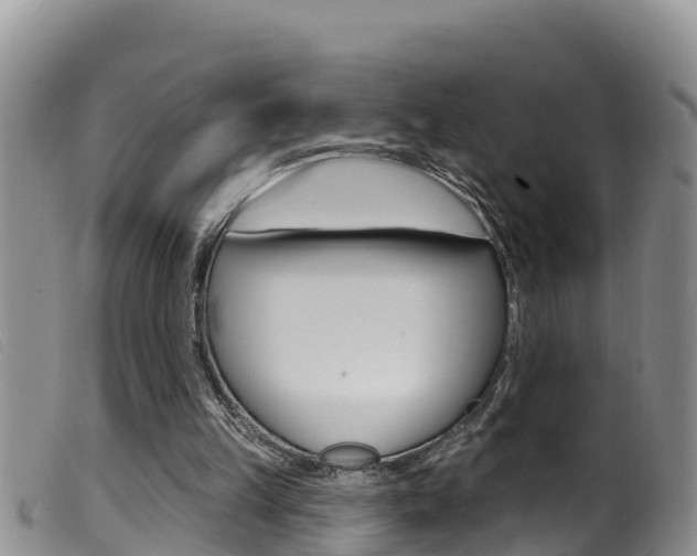 X0000099960149200805231035