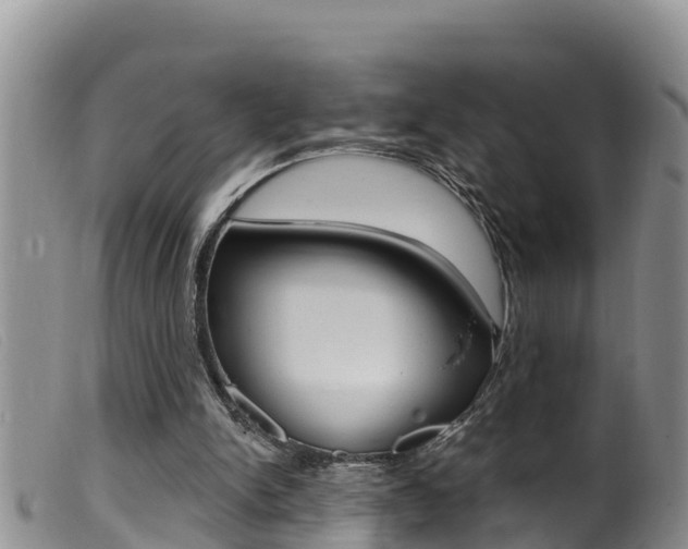 X0000099960150200805231035