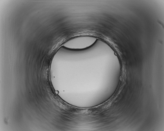X0000099960153200805231035
