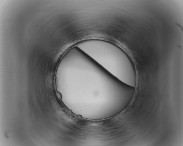 X0000099960155200805231035