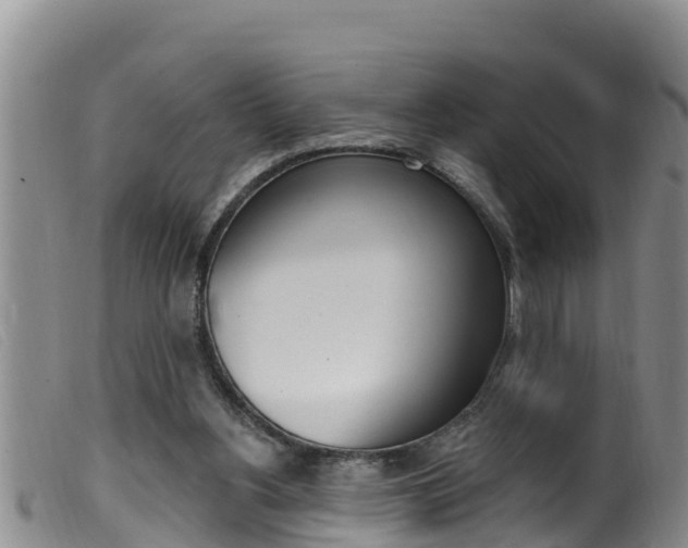 X0000099960156200805231035