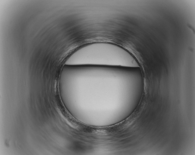 X0000099960157200805231035