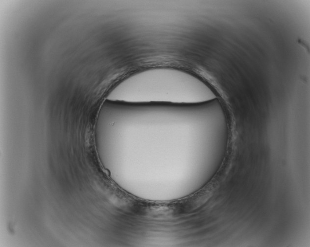 X0000099960161200805231035