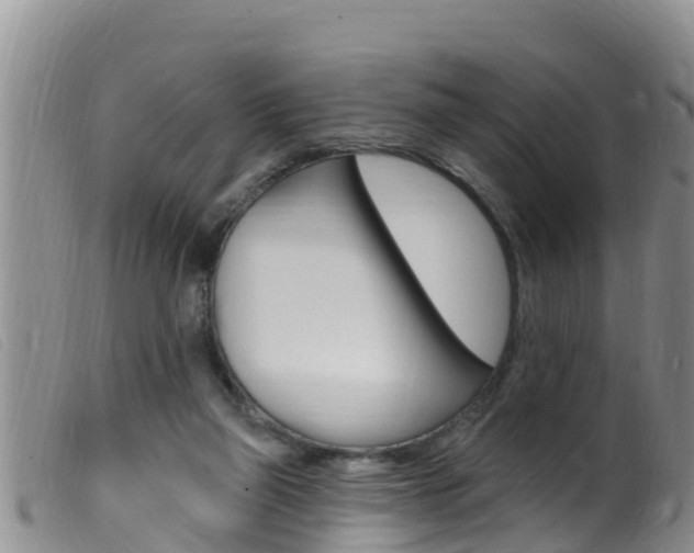 X0000099960165200805231035