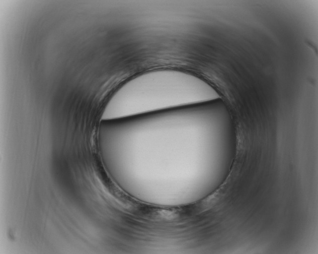 X0000099960166200805231035