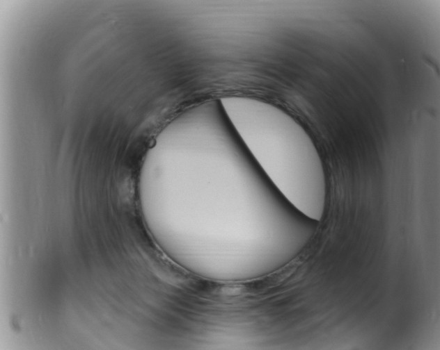 X0000099960173200805231035