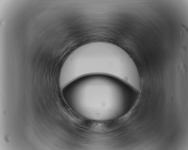 X0000099960174200805231035