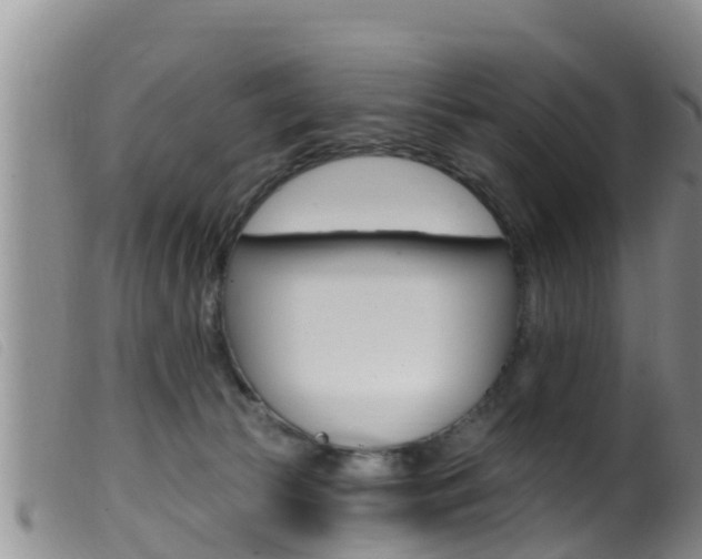 X0000099960177200805231035