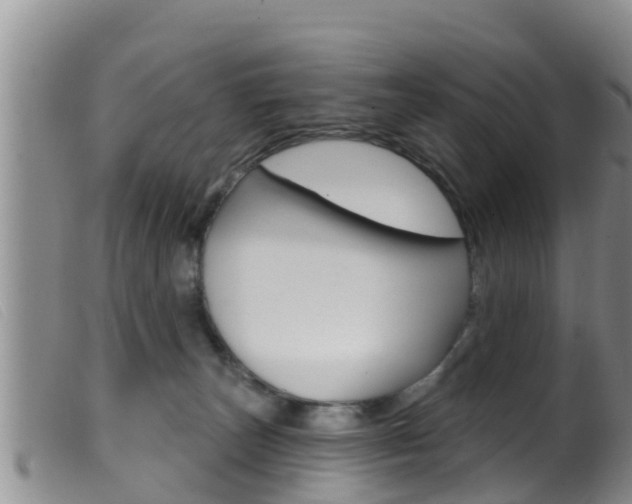 X0000099960179200805231035