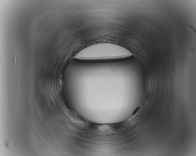 X0000099960183200805231035