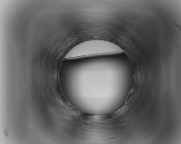 X0000099960184200805231035