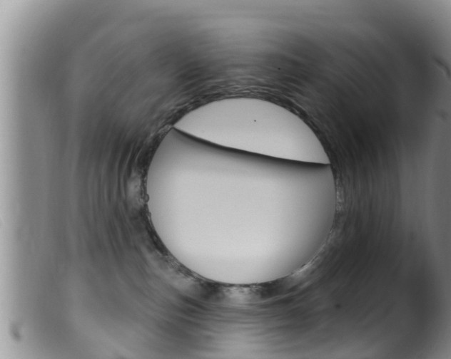 X0000099960187200805231036