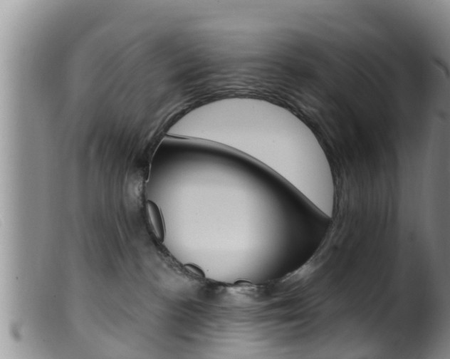 X0000099960188200805231036