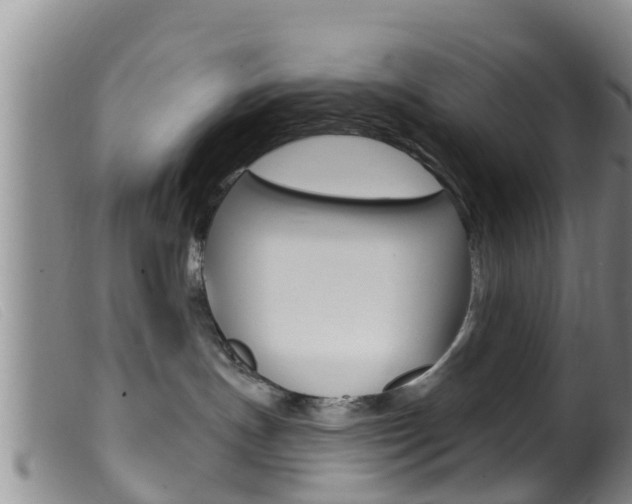 X0000099960191200805231036