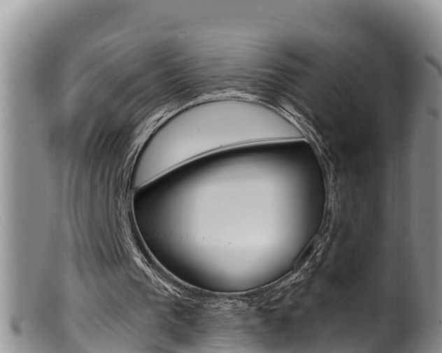 X0000099960193200805231035