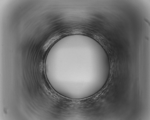 X0000099960194200805231035