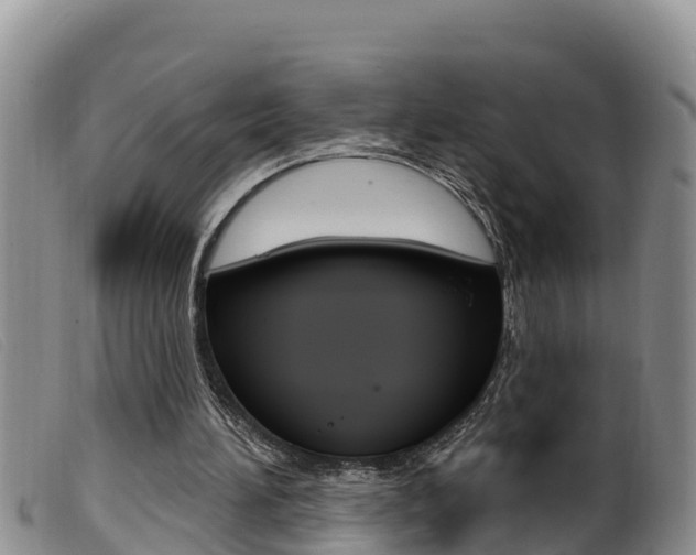 X0000099960196200805231035