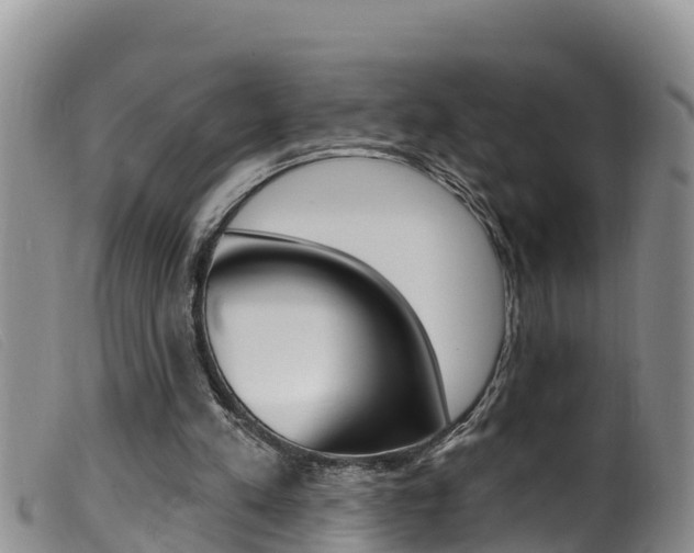 X0000099960197200805231035