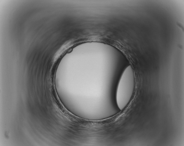 X0000099960198200805231035