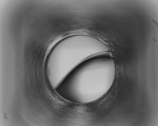 X0000099960200200805231035