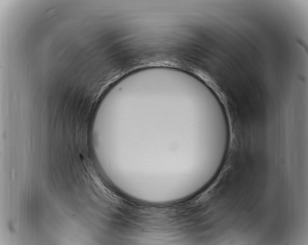 X0000099960201200805231035