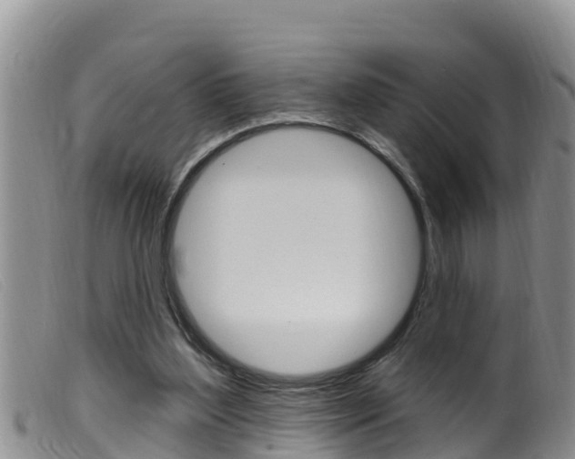 X0000099960204200805231035
