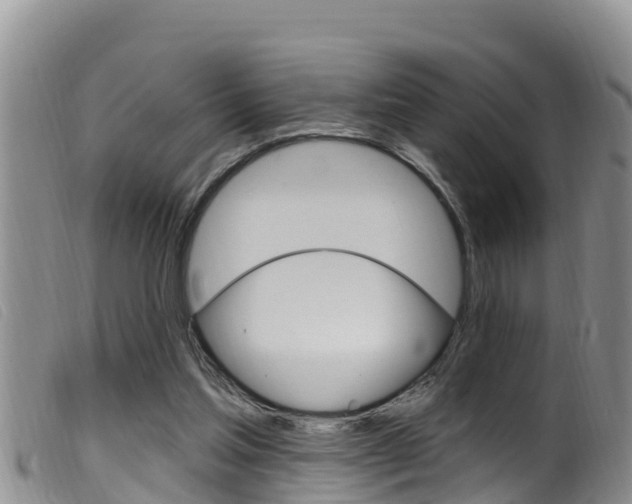 X0000099960205200805231035
