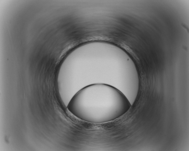 X0000099960207200805231035