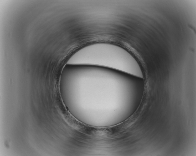 X0000099960209200805231035