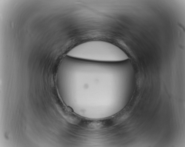 X0000099960213200805231035