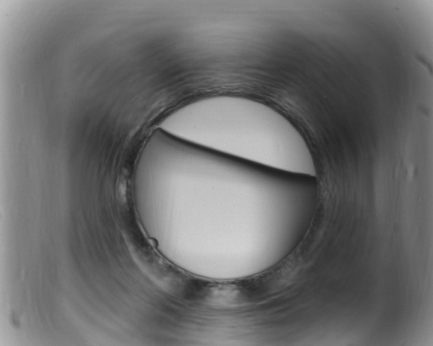 X0000099960214200805231035